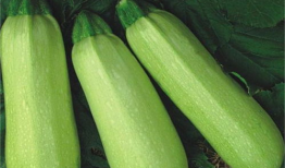 吃瓜国产热门网红爆料